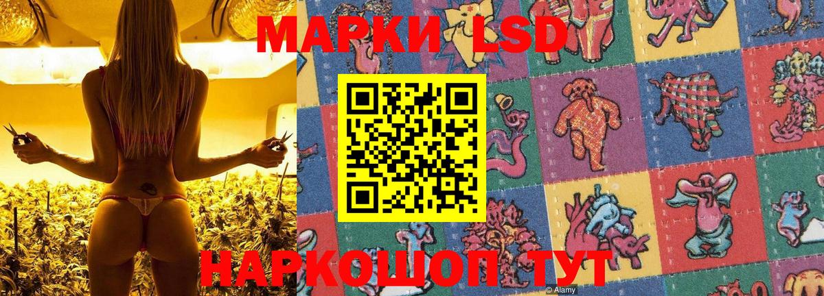 Марки NBOMe 1,8мг  магазин    Вход с VPN  Урюпинск  Марки NBOMe 1,8мг 
